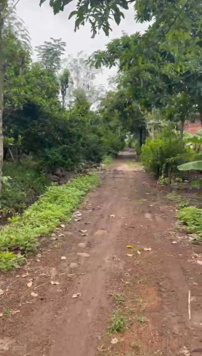 Chủ bán gấp 2 sào Xuân Thọ cách Ga Bảo Chánh 5 phút giá cực rẻ