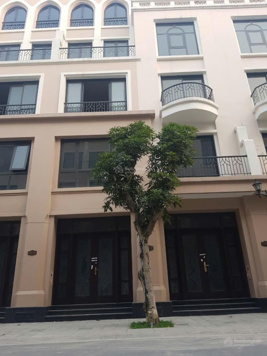 Biệt thự liền kề 64m2 kế cạnh chung cư chiết khấu lên tới 25% tại Vinhomes Ocean Park 2