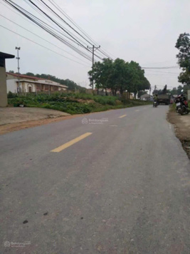 CC bán 1745m2 (200m2 đất ở)Đất mặt đường TL91 tại Ba Trại rẻ bằng đất trong làng, 186tr/m mặt tiền.