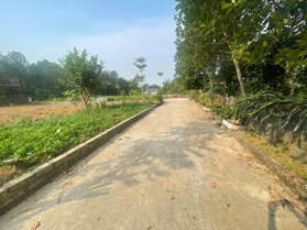 Bán lô đất diện tích 155,5m2 Thôn Đồi Sen Xã Bình Yên Thạch Thất Hà Nội giá 2,9tỷ