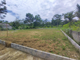 Chính chủ bán hơn 600m2 đất lô góc, sổ chính chủ Thôn Triu, Điền Lư, Bá Thước, Thanh Hoá 0967 522 585