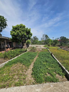 Bán đất tại Liên Nghĩa, giá 2,3 tỷ vnd, diện tích 77,6m2, view đẹp