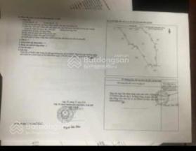 Bán đất trồng cây lâu năm sổ 1941m2 sổ 2584.1m2 cách đường Hương Lộ 10 70m, mặt tiền Vành Đai 4