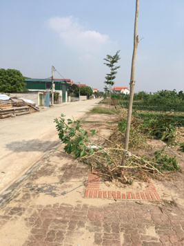 Hàng hiếm tại Xã Thụy Lôi, 1,7 tỷ, 96m2 đất nền sổ đỏ