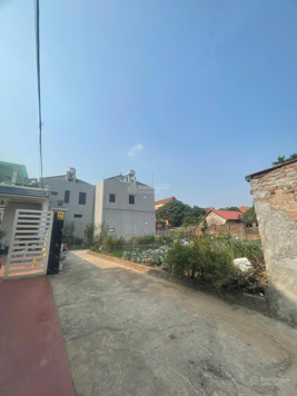 Bán 63m2 đất Võng Xuyên Phúc Thọ Siêu đẹp Hướng Nam Mặt tiền = hậu 5.72m Giá đầu tư 2xtr/m2