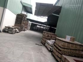 Bán kho 1,3ha Nguyễn Hữu Trí, Bến Lức, Long An
