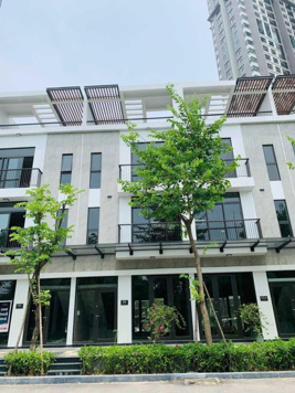 Bán nhà phố vinh đảo Ecopark, trước mặt 4 toà chung cư Skyoasis DT 100m2 giá tốt