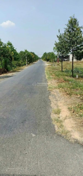 Bán 1635,6m2 đường nhựa Ấp 10, Lương Hòa, Bến Lức, Long An