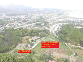 Bán đất làm trang trại, khu vui chơi, hồ câu cá tại TP Hạ Long, giá hơn 2tr/m2