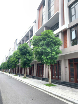 8 tỷ 5 - Bán nhanh Vịnh Thiên Đường 60m2 cạnh Vịnh Biển Bốn Mùa - Grand World Hà Nội - VHOCP3