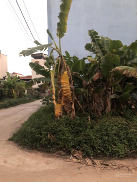 Siêu hiếm mảnh đất lô góc đất đấu giá Vân Canh - 62m2 - MT 5m - ô tô tránh - Hoài Đức - giá 9.6 tỷ