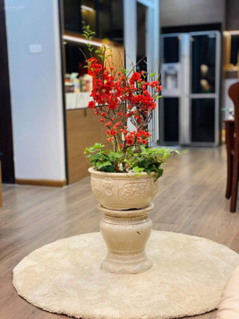 Chính chủ bán căn Tây Hà 116m2 3N2W giá 5,5 tỷ. Sẵn sổ, full NT. Lh 0962 347 866