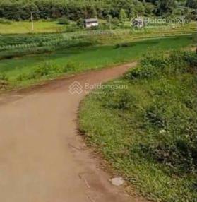 Chỉ 320 triệu có ngay lô đất DT 433m2, thổ cư 150m2 xã Phú Vinh. Sổ hồng công chứng trong ngày