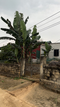 Chính chủ bán đất tại Tượng Sơn, 360 triệu, 150 m2, pháp lý đầy đủ, giá cực tốt đất phong thuỷ