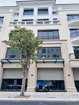 Bán căn Shophouse San Hô 19 đường 20m. Gần 4 tòa chung cư Ocean Park 2. Diện tích 80m2 đã có sổ đỏ