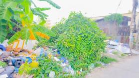 Bán đất thổ cư 256m2 hẻm 12 đường 3/2