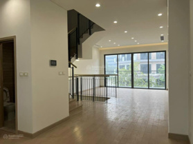 Cần cho thuê gấp shophouse 5 tầng 99m2 view phố đi bộ, mặt sau công viên khu đông dân cư!