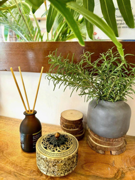 Bán căn hộ sân vườn tại Sol Forest, Ecopark 3PN, sổ đỏ, giá tốt