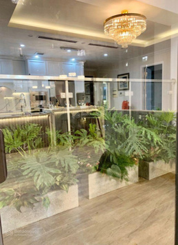 Tôi chính chủ bán căn hộ 3PN 2WC 100m2 tòa Roman Plaza. Giá 7 tỷ có TL
