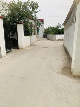 Bán đất tại Xã Liên Nghĩa, Văn Giang, Hưng Yên, 20 triệu VND/m2, 275.1m2