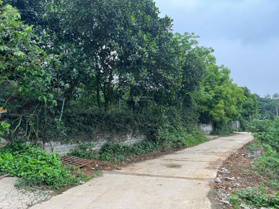 Cần bán gấp khuôn viên lô góc viu cách đồng gần đại học quốc gia Hà Nội nghỉ dưỡng siêu víp