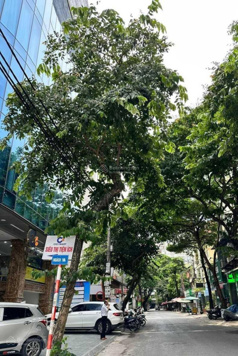 BÁN NHÀ KHU PHÂN LÔ HOÀNG QUỐC VIỆT, CẦU GIẤY, DIỆN TÍCH 68M x 5 TẦNG, MẶT TIỀN 6M, GIÁ 18.8 TỶ.