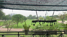 Siêu phẩm 5T 120m2 Đ. Đặng Thùy Trâm, P13, Bình Thạnh view công viên lớn cực đẹp, không QH LG