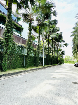 Tổng hợp 3 Khuôn đất VIP góc 2 mặt tiền khan hiếm đẹp nhất khu Compound Thảo Điền Quận 2 giá 100 tỷ