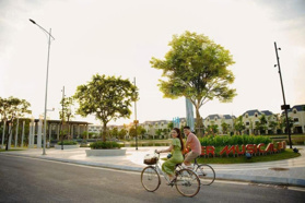 Đơn lập có hầm vip 300m2 (Có phòng chiếu phim, hầm rượu, bar) - 50 tỷ full giá (Chủ bao sang tên)