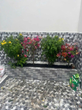 Nhà đẹp - Bình Thới - Quận 11 - 3 tầng - 66m2 (4x16) - 3PN - sổ A4 - nhỉnh 5 tỷ