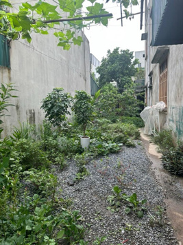 HIẾM - PHÂN LÔ Ô TÔ TRÁNH- GIÁ RẺ NHẤT THỊ TRƯỜNG Bán nhanh mảnh đất cực đẹp tại Thạch Bàn.