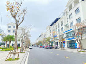 Cập nhật quỹ căn rẻ đẹp mới nhất dự án, mặt đường Hải Đăng 105m2, chỉ 10.2 tỷ, hoàn thiện thang máy