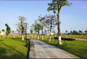 Bán đất mặt tiền đường Lý Thường Kiệt, TTTP Quảng Ngãi. Giá chủ đầu tư