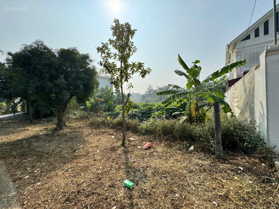 Phát sinh nhu cầu nên cần bán gấp đất khu vực đường Lý Thường Kiệt, Tam Điệp, Ninh Bình