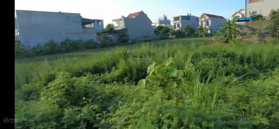 Tôi có lô đất đẹp tại trục đường Đ. Đông Tây Ninh Bình, Bắc Sơn - Tam Điệp Ninh Bình cần bán