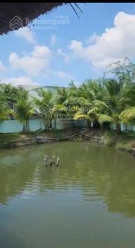 Cần bán gấp nhà vườn Nhơn Đức, Nhà Bè