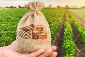 Phí chuyển nhượng đất ở nông thôn năm 2025: Tìm hiểu chi tiết