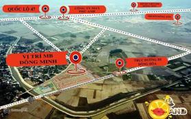 Bán 2 lô góc LK2 - 22 và LK3 - 12 đất đấu giá MBQH 3696 xã Đông Minh - Đông Sơn