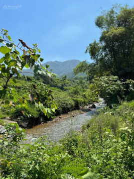 9 tỷ đồng với 8000 m2 đất tại huyện Lương Sơn, Hoà Bình