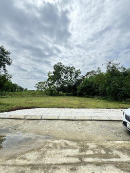 Bán đất có sổ đỏ đg ô tô tại Triệu Sơn 225tr (gần 2tr/1m2) mặt tiền 5m