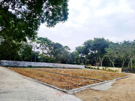 Chính chủ bán đất thổ cư tách thửa tại Yên Phú - Yên Định - Thanh Hóa