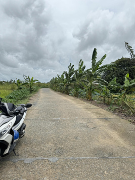 Bán nền thổ cư 240m2 giá rẻ kế đại học Nam Cần Thơ