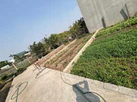 Bán đất 43,5m2 ở Xã Thư Phú, Thường Tín, Hà Nội, 1,59 tỷ siêu hot