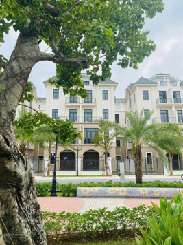 Bán biệt thự 65m2 giá ưu đãi 8,5 tỷ tại Vinhomes Ocean Park