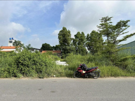 Bán nhanh 120m2 đất mặt tiền Trần Minh Sơn, An Khánh, Ninh Kiều, Cần Thơ. Gần ĐH Y Dược Cần Thơ