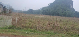 Cần bán 1170m2 có 900m2 đất ở tại Lương Sơn, Hòa Bình