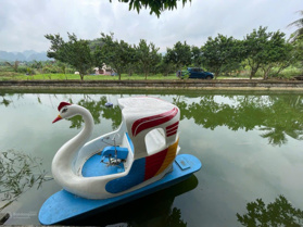 Cần bán 5ha đất có 1800 m 1400m2 đất ở còn lại đất rsx tại Long Sơn, Lương Sơn, Hòa Bình