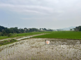 Bán trước tết. Lô đất có diện tích 418.3m2/100m2 TC tại trung tâm xã Cao Sơn, view cực đẹp