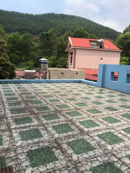 Chính chủ bán nhà đất cạnh sân golf Tiền Phong - Yên Dũng