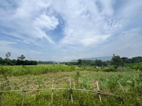 Gửi đến quý anh chị và các nhà đầu tư một siêu phẩm Tại Hòa Sơn cách Hà Nội 30km giá cắt lỗ